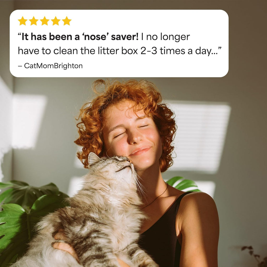 Fresh Step Odor Shield Multi Cat Clumping Cat Litter with Febreze Freshness, Low Dust, Odor Control with Ammonia Block Technology, Compatible in Automatic Litter Boxes, 14 lb.