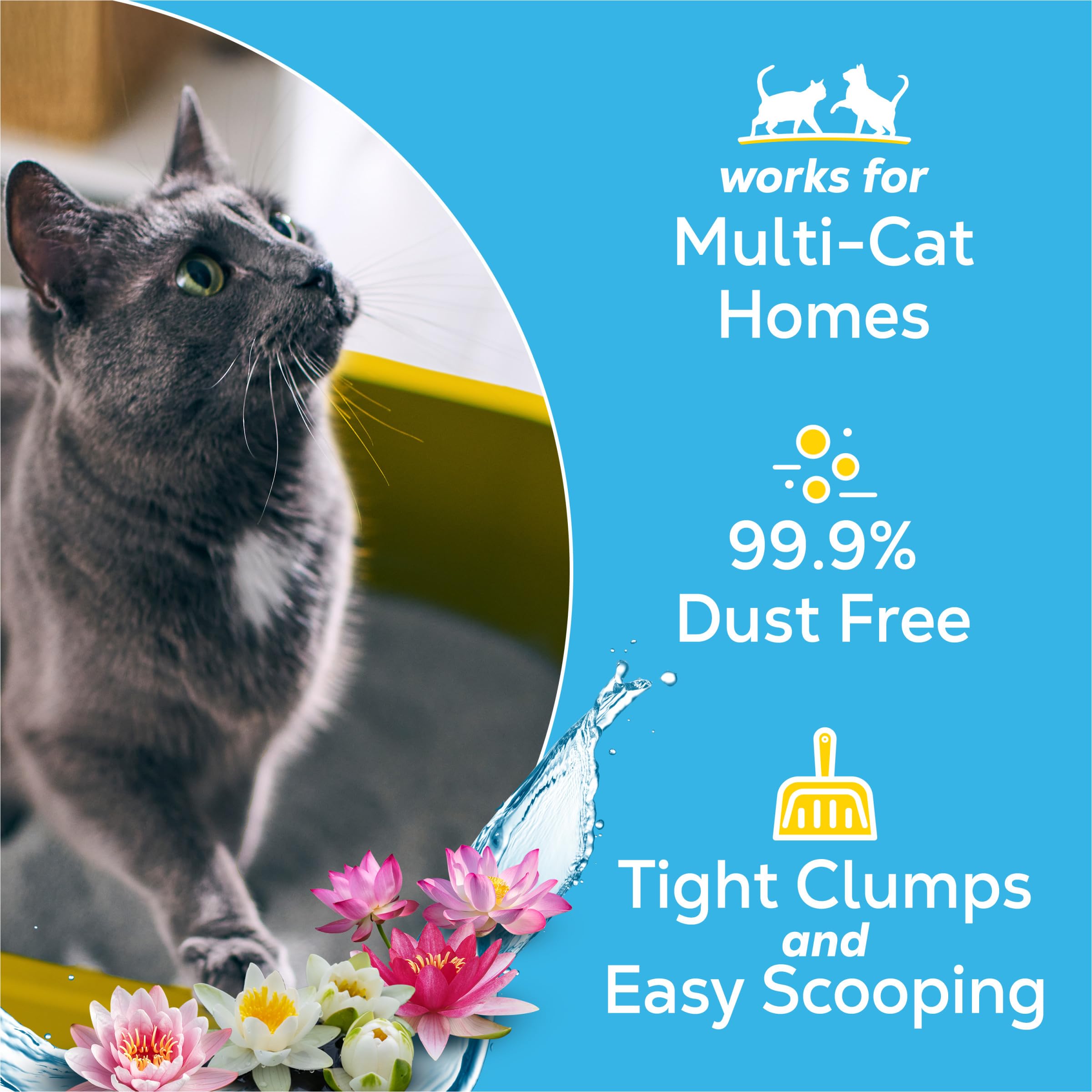 Purina Tidy Cats Lightweight Cat Litter, Clumping Multi Cat, Glade Clear Springs Odor Control, Low Dust, 38 lb. Box